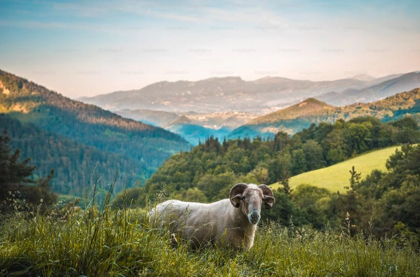 Week-end nature Pays Basque famille