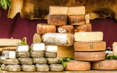 Producteurs de fromage Ossau-Iraty méconnus des Aldudes et du Pays Basque : visites et dégustations