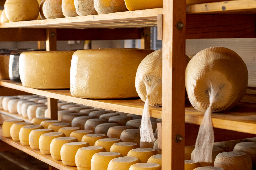 Producteurs de fromage Aldudes